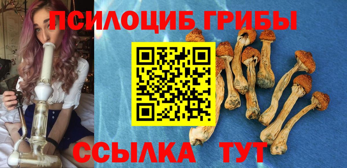 Псилоцибиновые грибы мухоморы Дербент