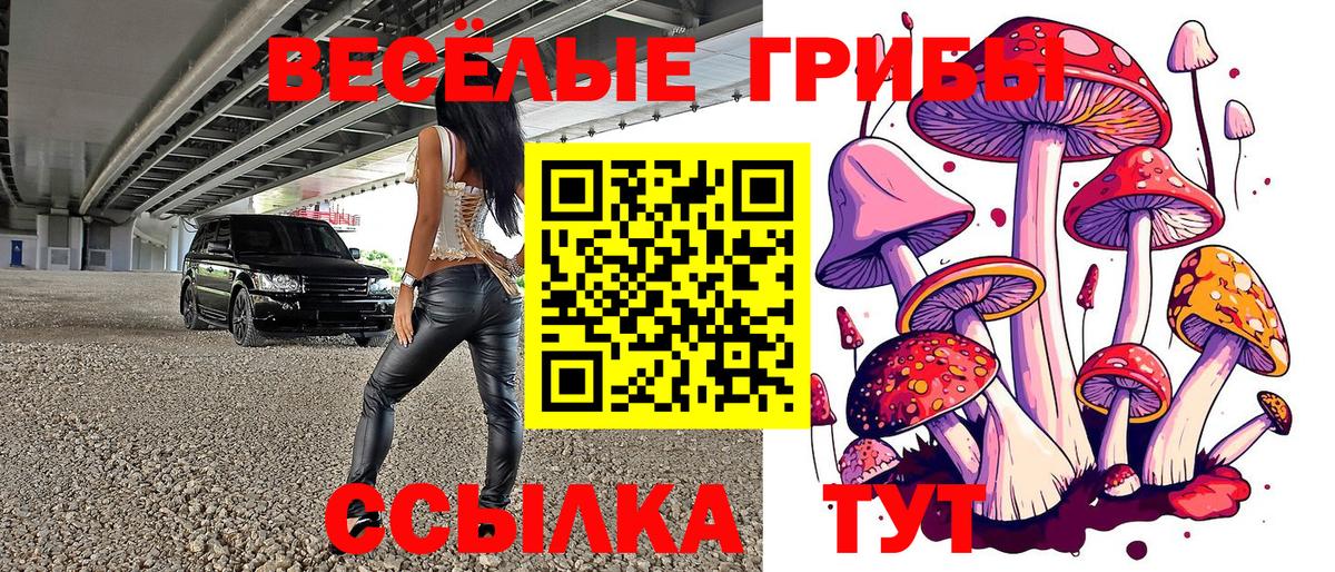 Псилоцибиновые грибы Psilocybine cubensis  Псилоцибиновые грибы MAGIC MUSHROOMS  Вход с VPN  Дербент 